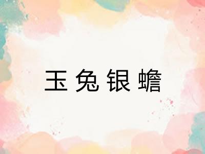 玉兔银蟾