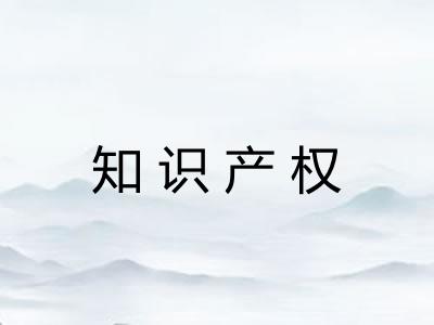 知识产权