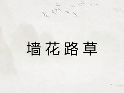 墙花路草