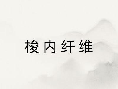 梭内纤维 梭内纤维