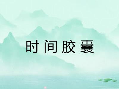 时间胶囊 时间胶囊
