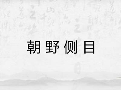 朝野侧目 朝野侧目