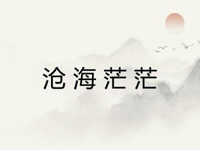 沧海茫茫 沧海茫茫