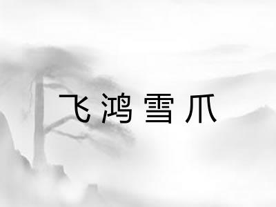飞鸿雪爪