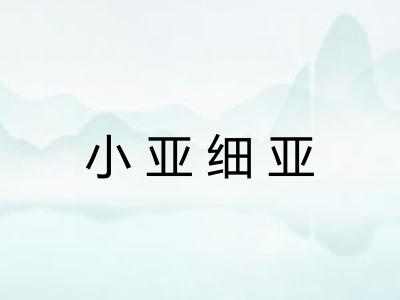 小亚细亚 小亚细亚