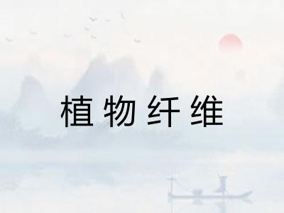 植物纤维