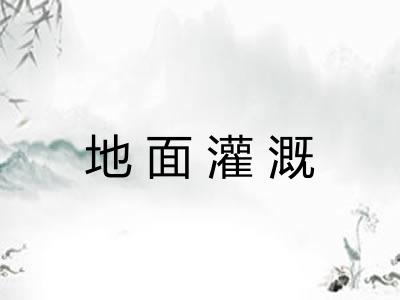 地面灌溉 地面灌溉