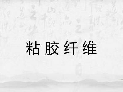 粘胶纤维 粘胶纤维
