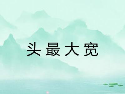 头最大宽