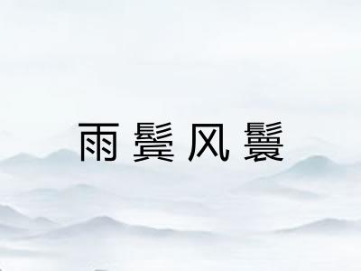 雨鬓风鬟 雨鬓风鬟