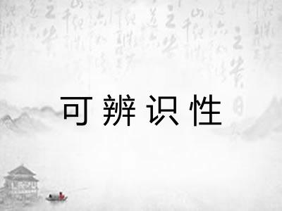 可辨识性