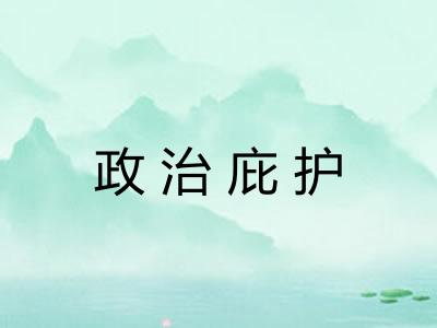 政治庇护