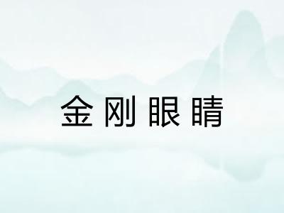 金刚眼睛