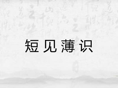短见薄识