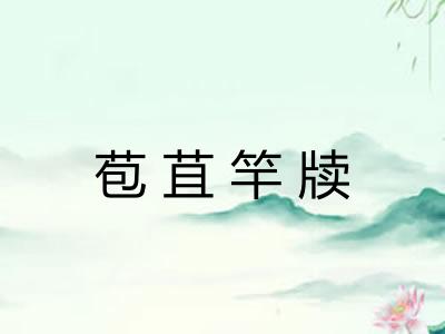 苞苴竿牍