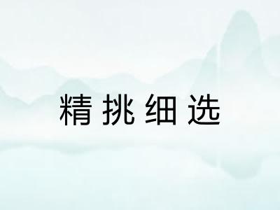 精挑细选