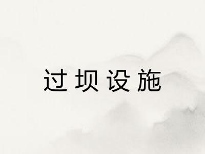 过坝设施
