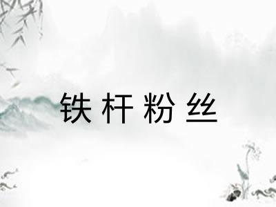 铁杆粉丝 铁杆粉丝