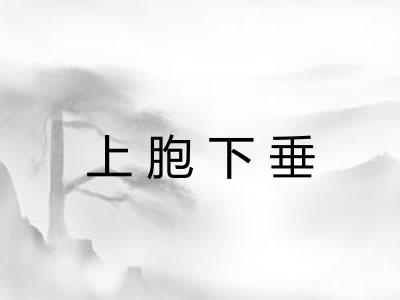 上胞下垂