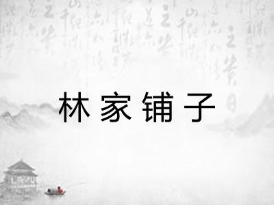 林家铺子
