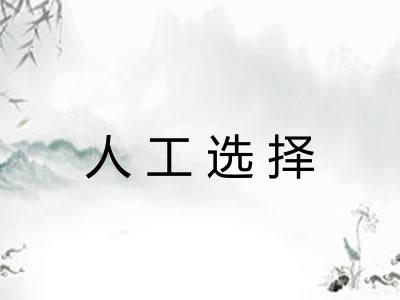 人工选择
