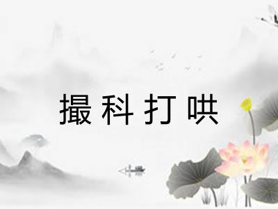 撮科打哄