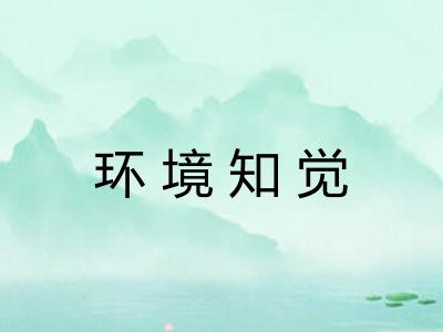 环境知觉