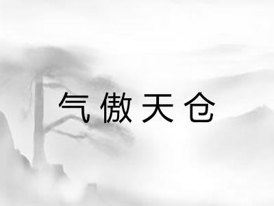 气傲天仓 气傲天仓