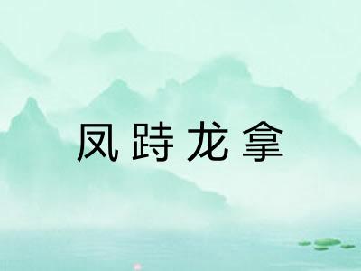 凤跱龙拿 凤跱龙拿