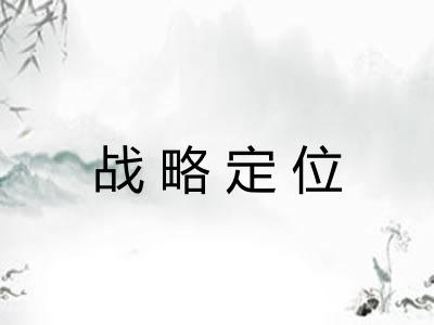 战略定位 战略定位