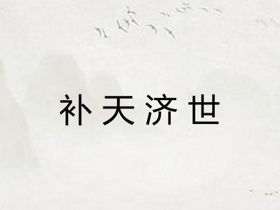 补天济世