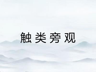 触类旁观 触类旁观