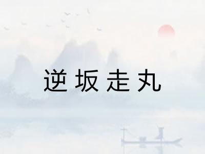 逆坂走丸