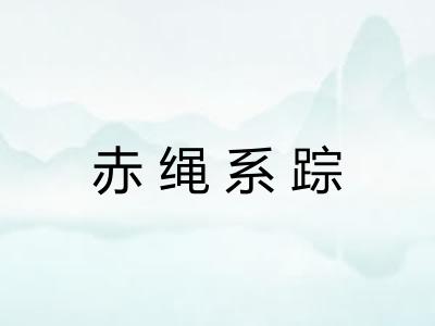 赤绳系踪 赤绳系踪