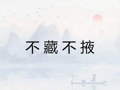 不藏不掖