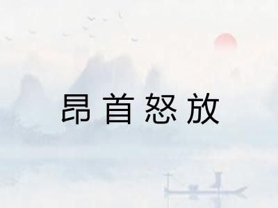 昂首怒放 昂首怒放