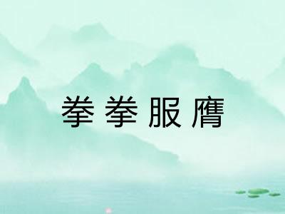 拳拳服膺 拳拳服膺