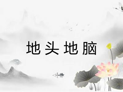 地头地脑
