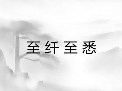 至纤至悉