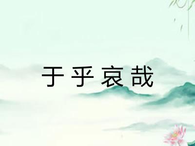 于乎哀哉