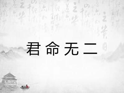 君命无二 君命无二