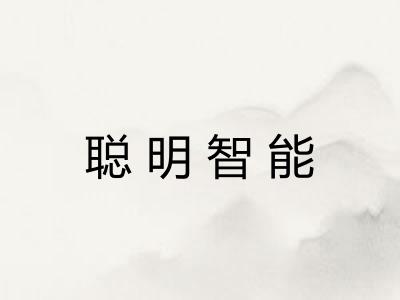 聪明智能