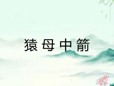 猿母中箭