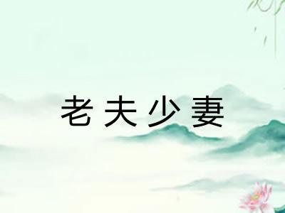 老夫少妻