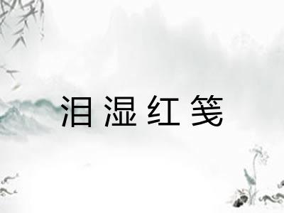 泪湿红笺 泪湿红笺