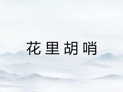 花里胡哨