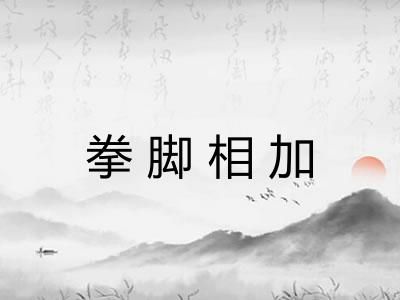 拳脚相加