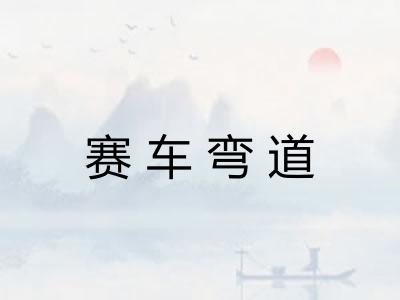 赛车弯道 赛车弯道