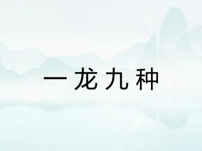 一龙九种 一龙九种