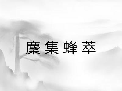 麇集蜂萃 麇集蜂萃